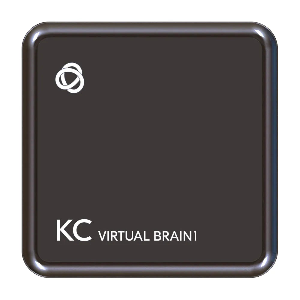 KC-Virtual Brain1 Controlador AV con BRAINware para 1 instancia vista superior
