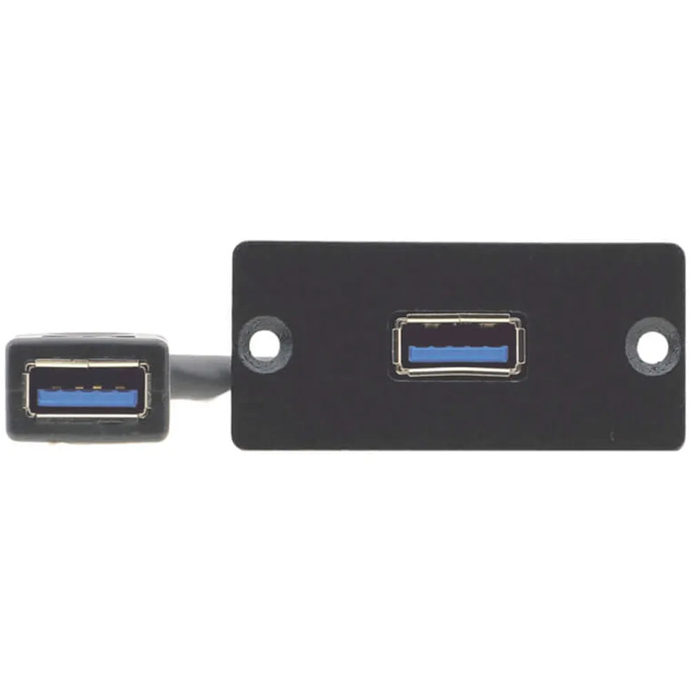 WU3-AA Placa de pared para inserción USB 3.0 vista frontal